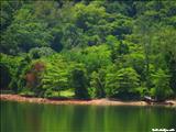 Dos Bocas Lake - UTUADO